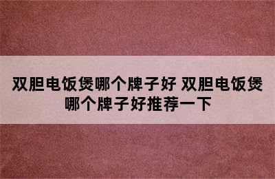 双胆电饭煲哪个牌子好 双胆电饭煲哪个牌子好推荐一下